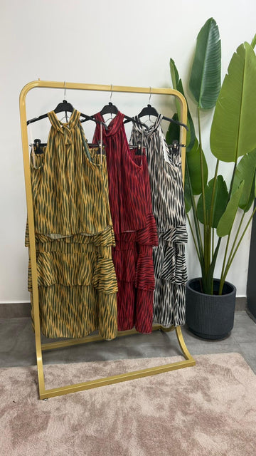 Conjunto cebra